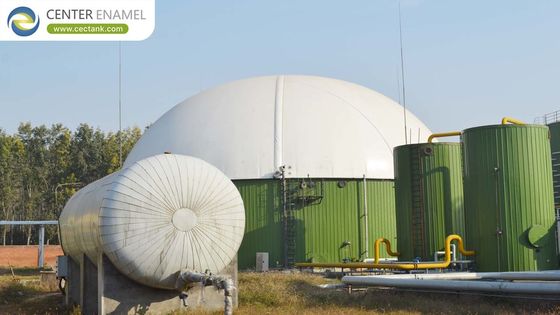 Porselen Enamel Boya Yenilenebilir Enerji İşlemi için Anaerobik Digester Tankı