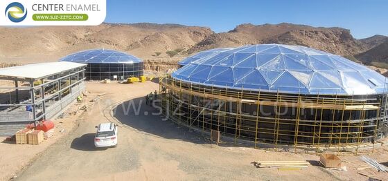 Filipinler Kümes Hayvanları Çiftliği Atık Su Arıtımı İçin Premium Biyogaz Projeleri ve GFS Tankları