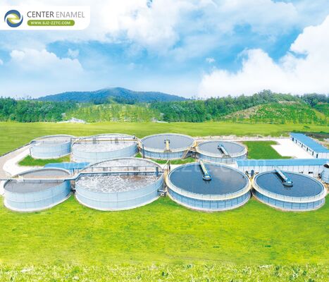 Tavuk Atıklarının Dönüştürülmesi: Brunei'de Gelişmiş Biyogaz Çözümleri ve Dayanıklı GFS Tankları