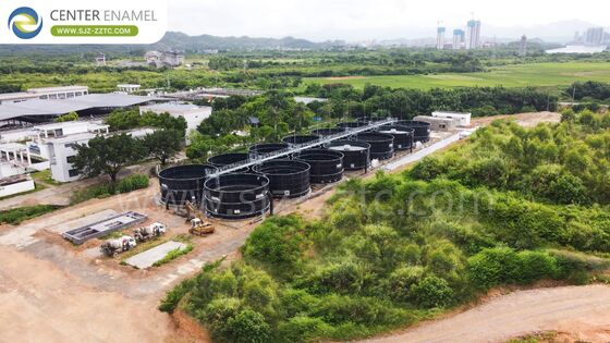 Sürdürülebilir Enerji Çözümleri: Kenya'nın Biyogaz Projeleri için GFS Tankları ve Çift Membranlı Çatılar