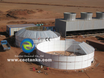 EPC USR/CSTR Biyogaz Anaerobik Fermantasyon Biyogaz Depolama Tankı Atık Enerji Projesi Tesisi