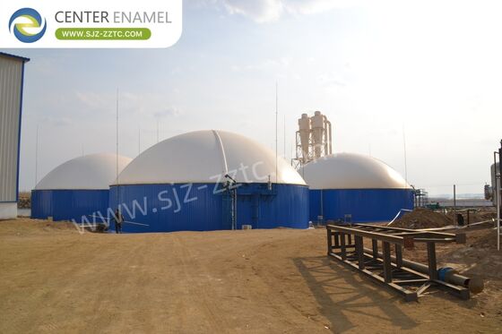 Biogas Project Contractor with Advanced CSTR Process for Egypt Cow Dung Treatment 