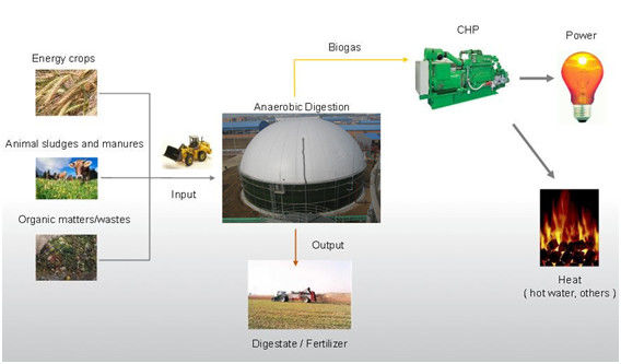 Biyogaz Depolama Tankı Üstün EPC Atık Biyogaz Enerjisi Tam Paketli Sistemi için Anahtar Tedarikçi 1